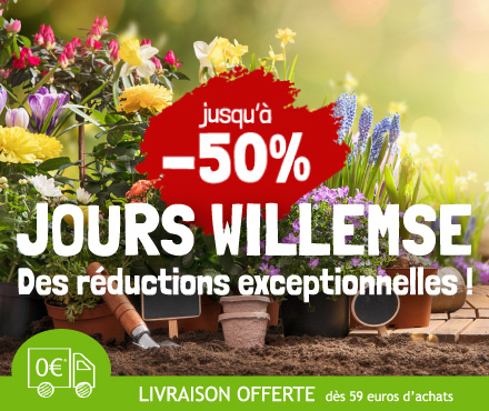 Jusqu'à -50% de réduction sur plus d'une centaine de plantes !