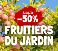 jours Willemse fruitiers